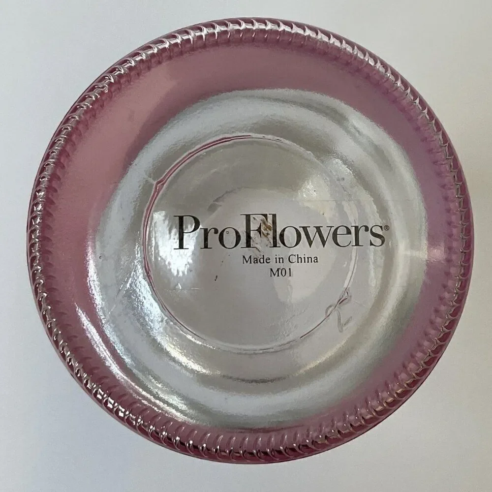 Proflowers Pink Ombre Style Glass Floral Vase Home Accent